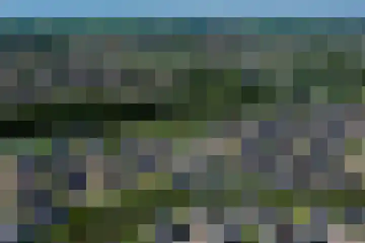 Laan van Bergama 45 Alkmaar thumbnail 42
