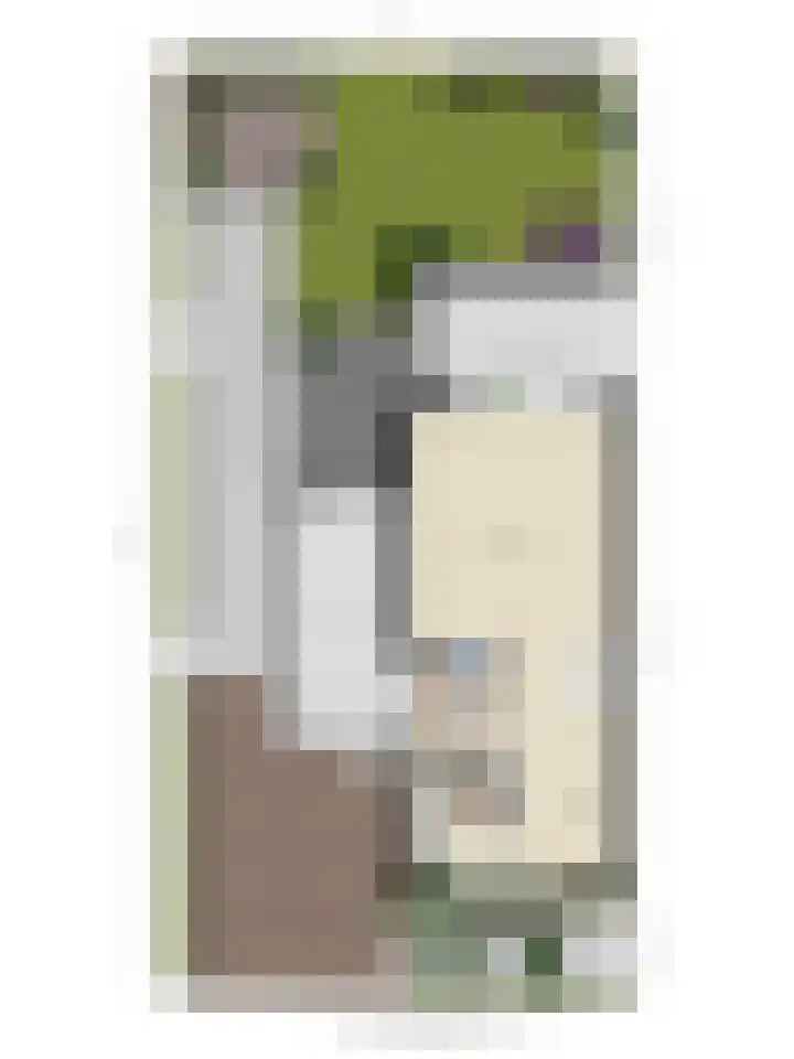 Laan van Bergama 45 Alkmaar thumbnail 43