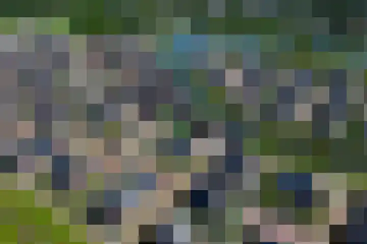Laan van Bergama 45 Alkmaar thumbnail 5