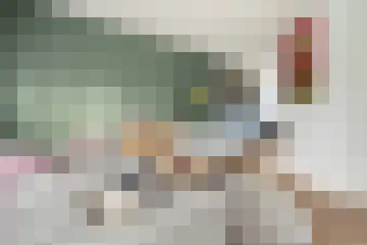 Laan van Bergen 2 Zeist thumbnail 11