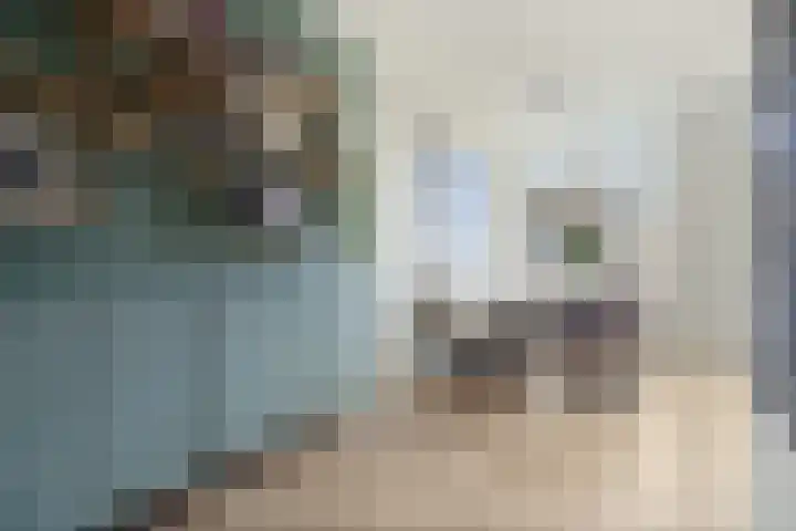 Laan van Bergen 2 Zeist thumbnail 16