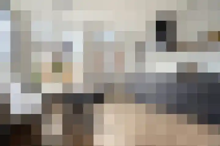 Laan van Bergen 2 Zeist thumbnail 17