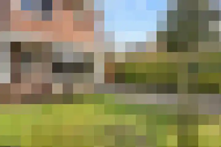 Laan van Bergen 2 Zeist foto 3