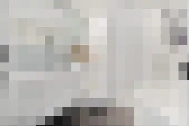 Laan van Bergen 2 Zeist thumbnail 33