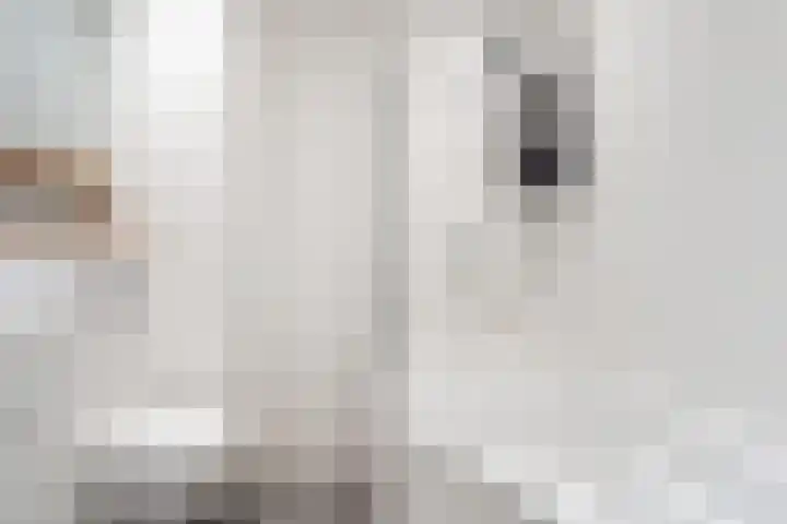 Laan van Bergen 2 Zeist thumbnail 34