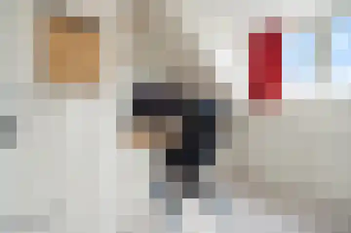 Laan van Bergen 2 Zeist thumbnail 42
