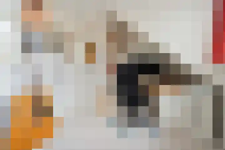 Laan van Bergen 2 Zeist thumbnail 43