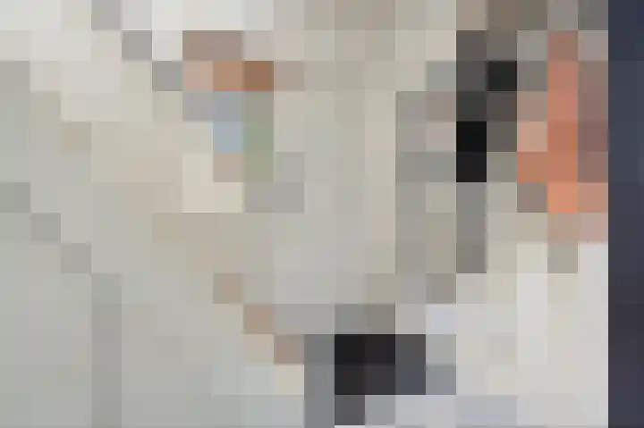 Laan van Bergen 2 Zeist thumbnail 5