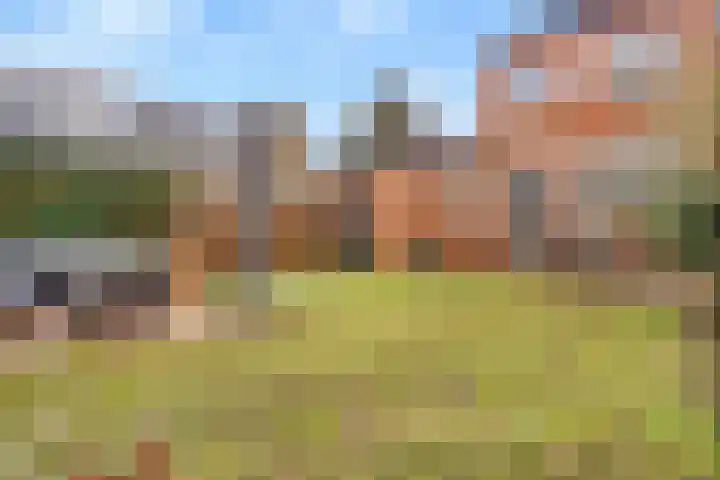 Laan van Bergen 2 Zeist thumbnail 50