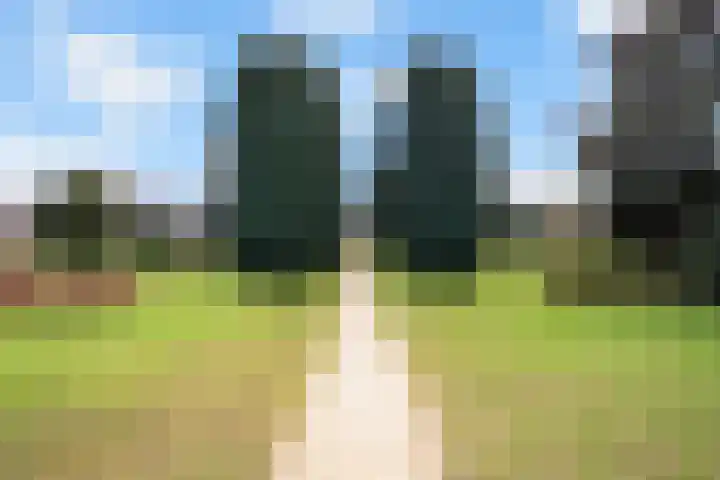 Laan van Bergen 2 Zeist thumbnail 52