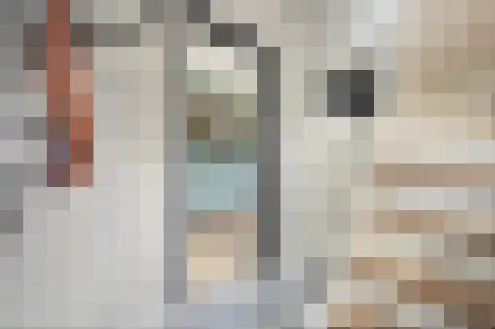 Laan van Bergen 2 Zeist thumbnail 6