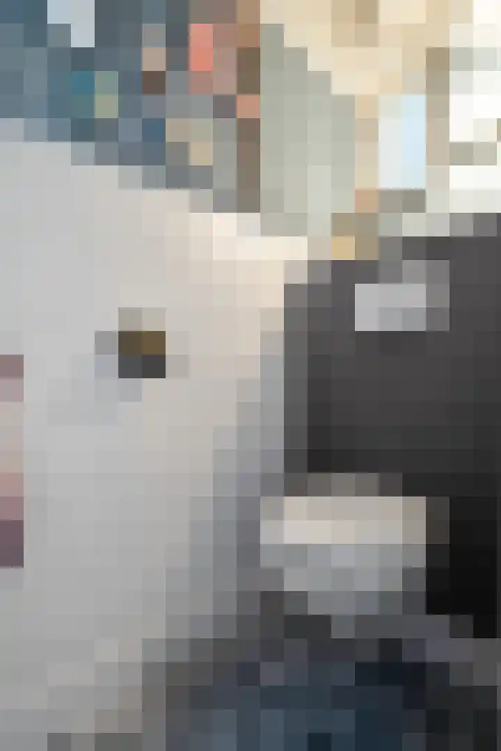 Laan van Bergen 2 Zeist thumbnail 7