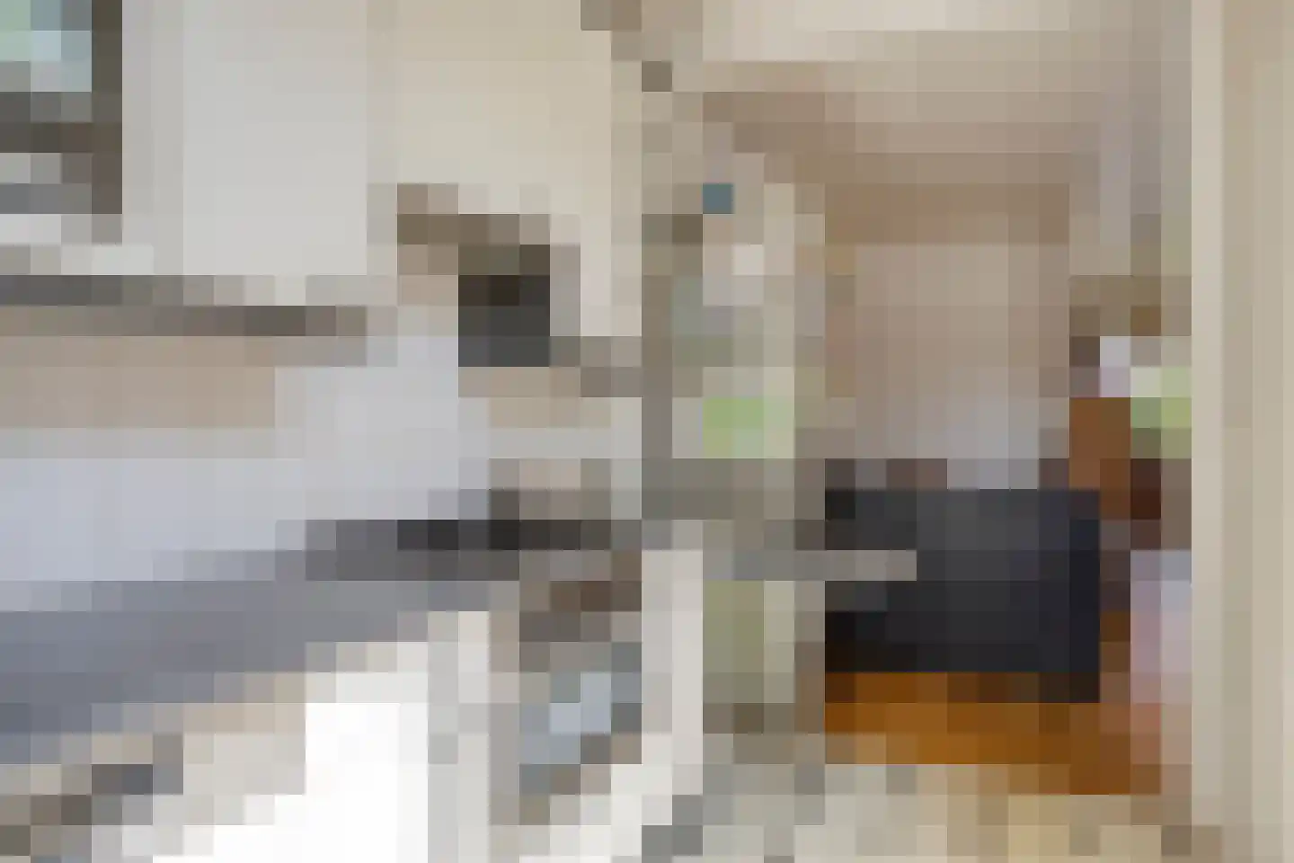 Laan van Bergen 27 Zeist thumbnail 12
