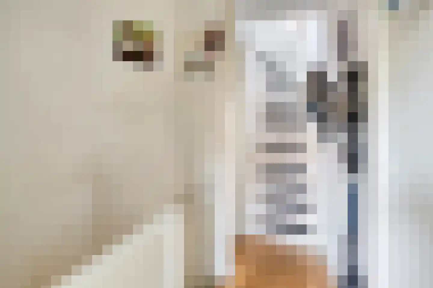 Laan van Bergen 27 Zeist thumbnail 15