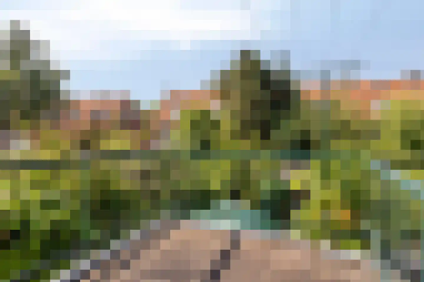 Laan van Bergen 27 Zeist thumbnail 25