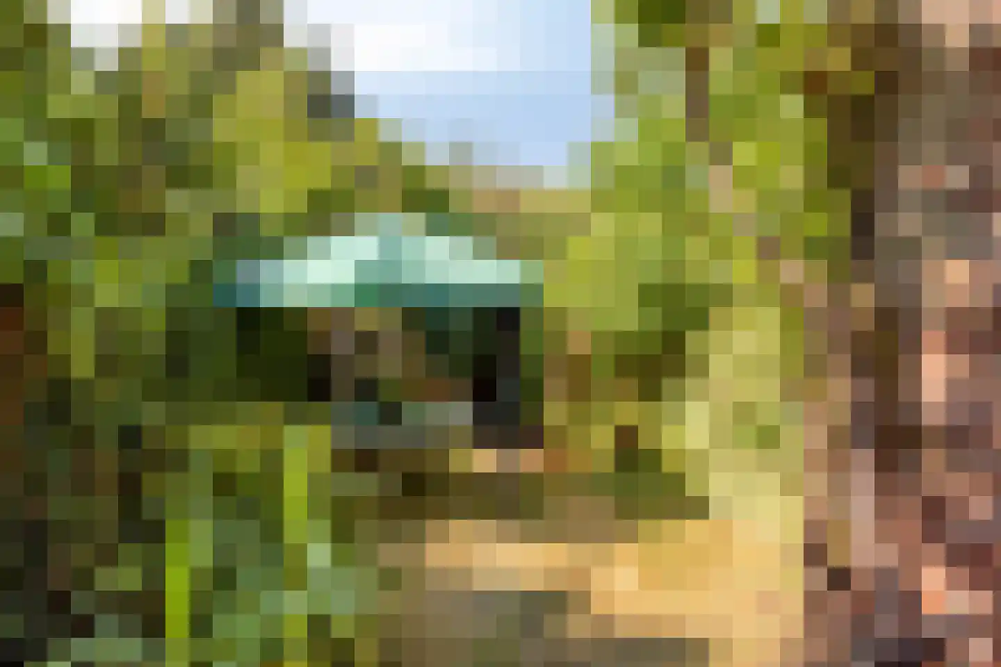 Laan van Bergen 27 Zeist thumbnail 26
