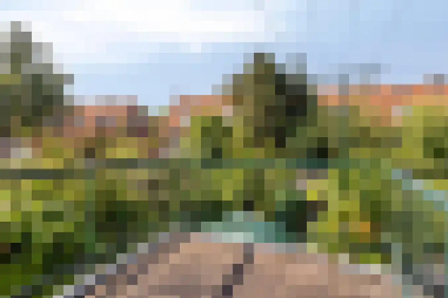 Laan van Bergen 27 Zeist foto 3