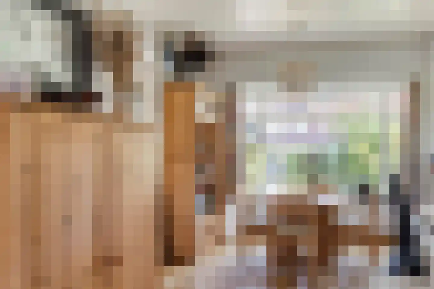 Laan van Bergen 27 Zeist thumbnail 8