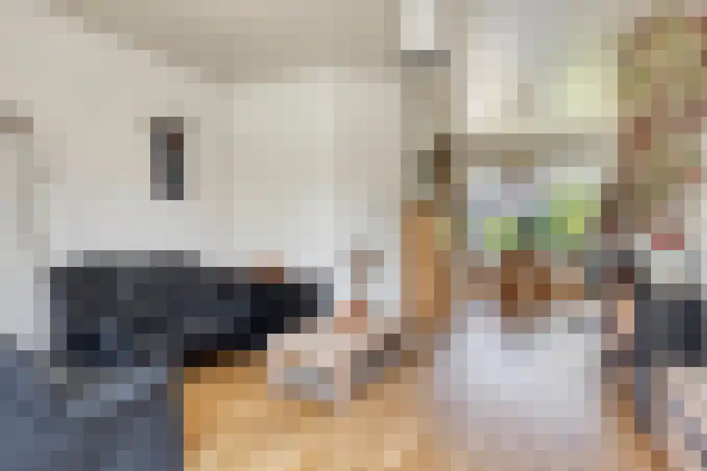 Laan van Bergen 27 Zeist thumbnail 9