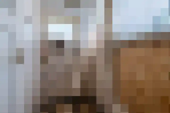 Laan van Bergen 32 Zeist thumbnail 13