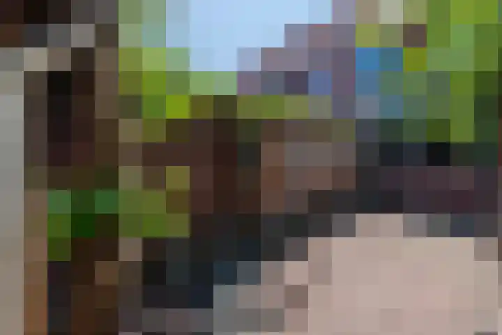 Laan van Bergen 32 Zeist thumbnail 25