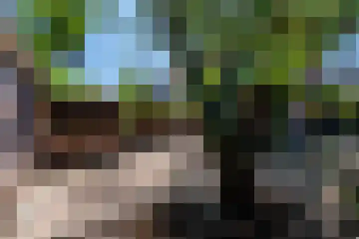 Laan van Bergen 32 Zeist thumbnail 26