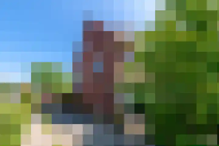 Laan van Bergen 32 Zeist thumbnail 28