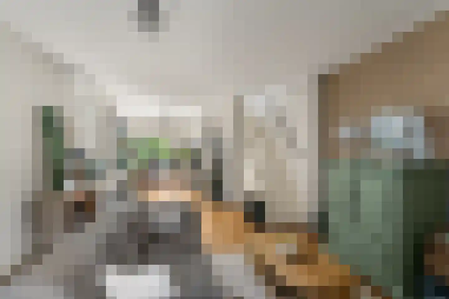 Laan van Bergen 44 Zeist thumbnail 12