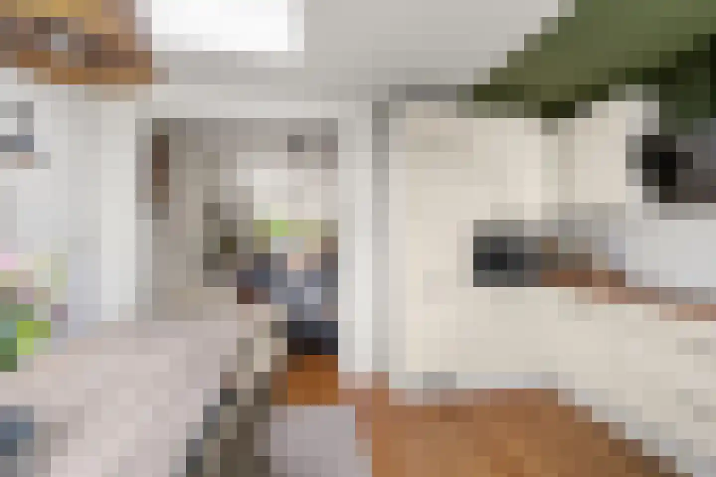 Laan van Bergen 44 Zeist thumbnail 19