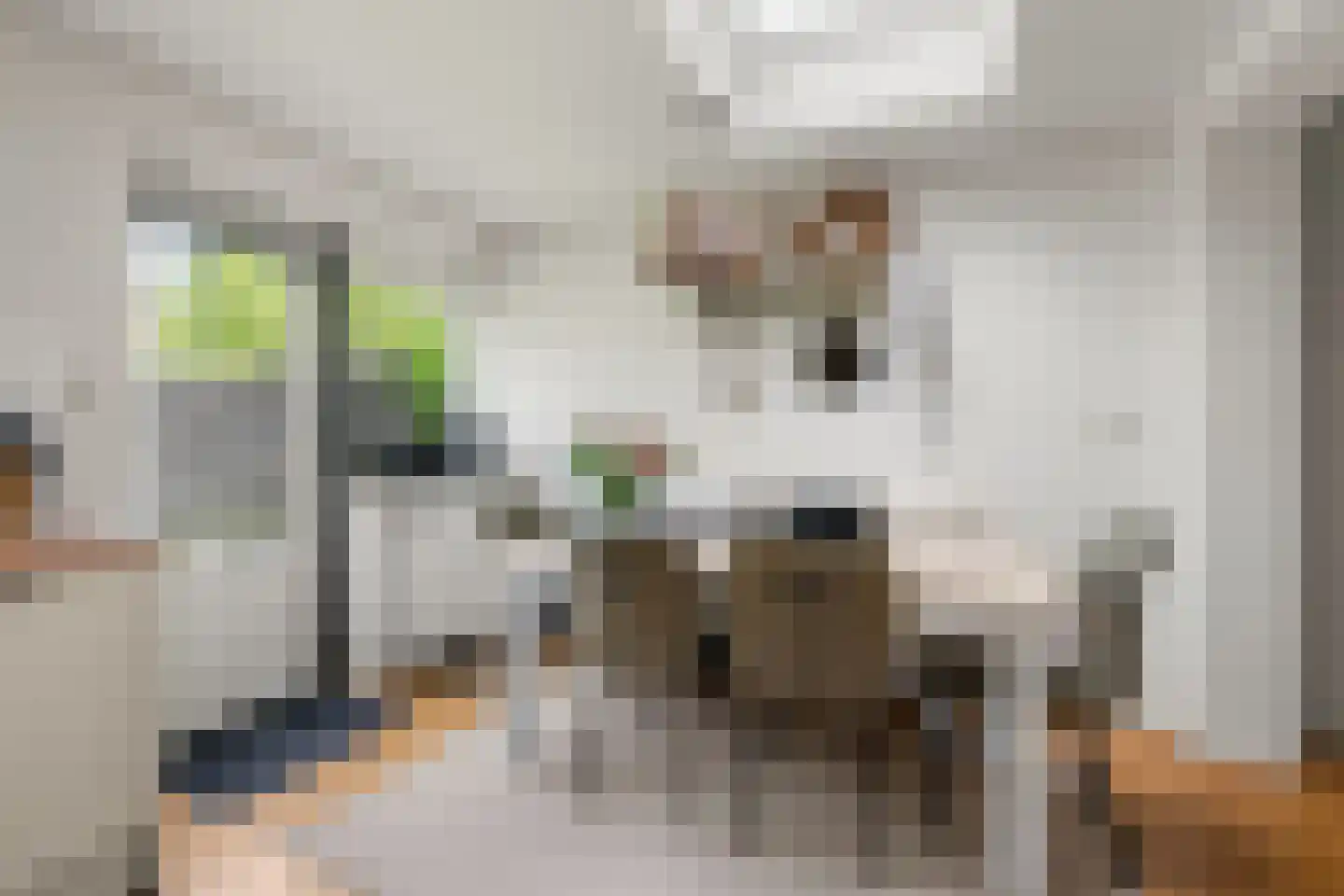 Laan van Bergen 44 Zeist thumbnail 20