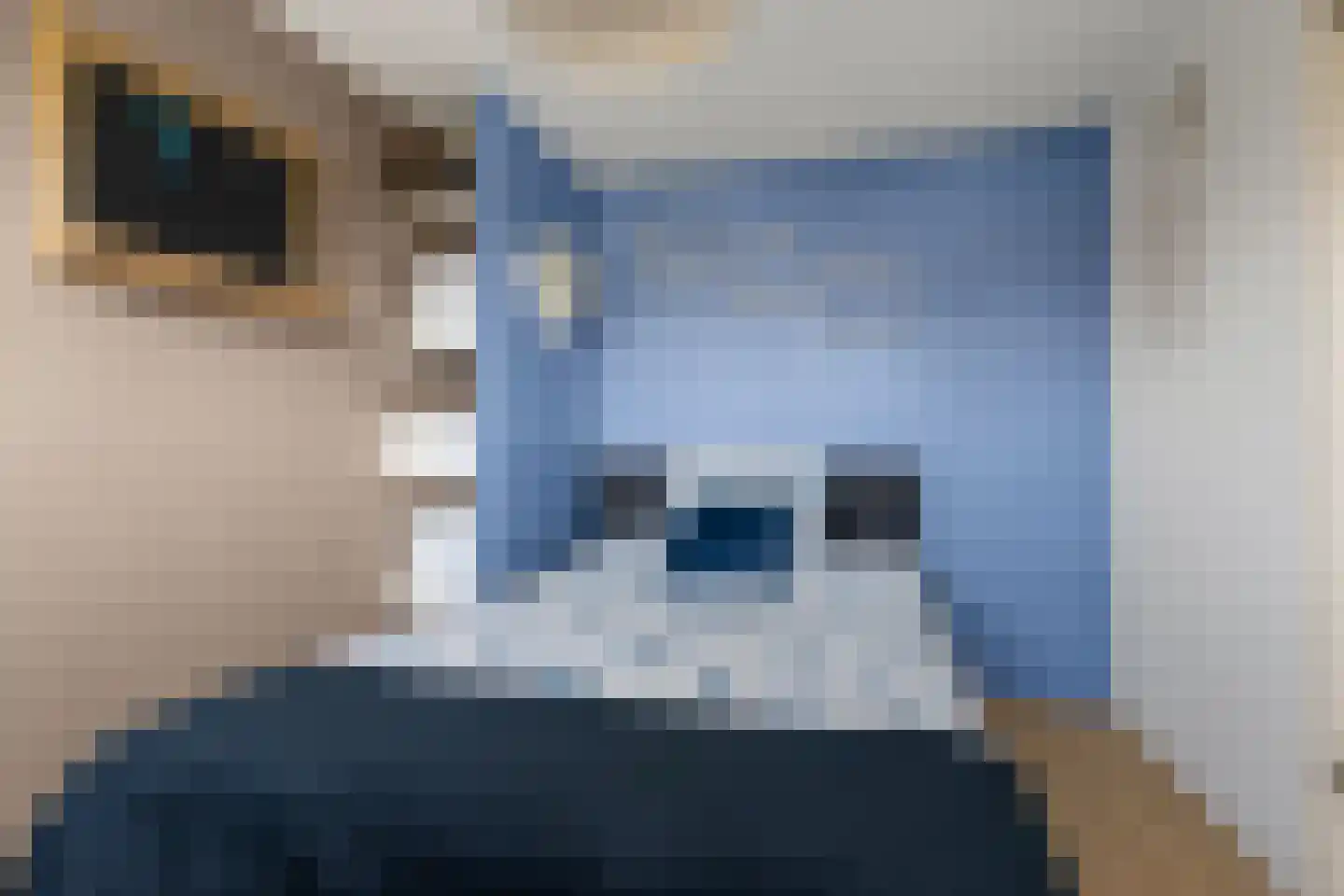 Laan van Bergen 44 Zeist thumbnail 34