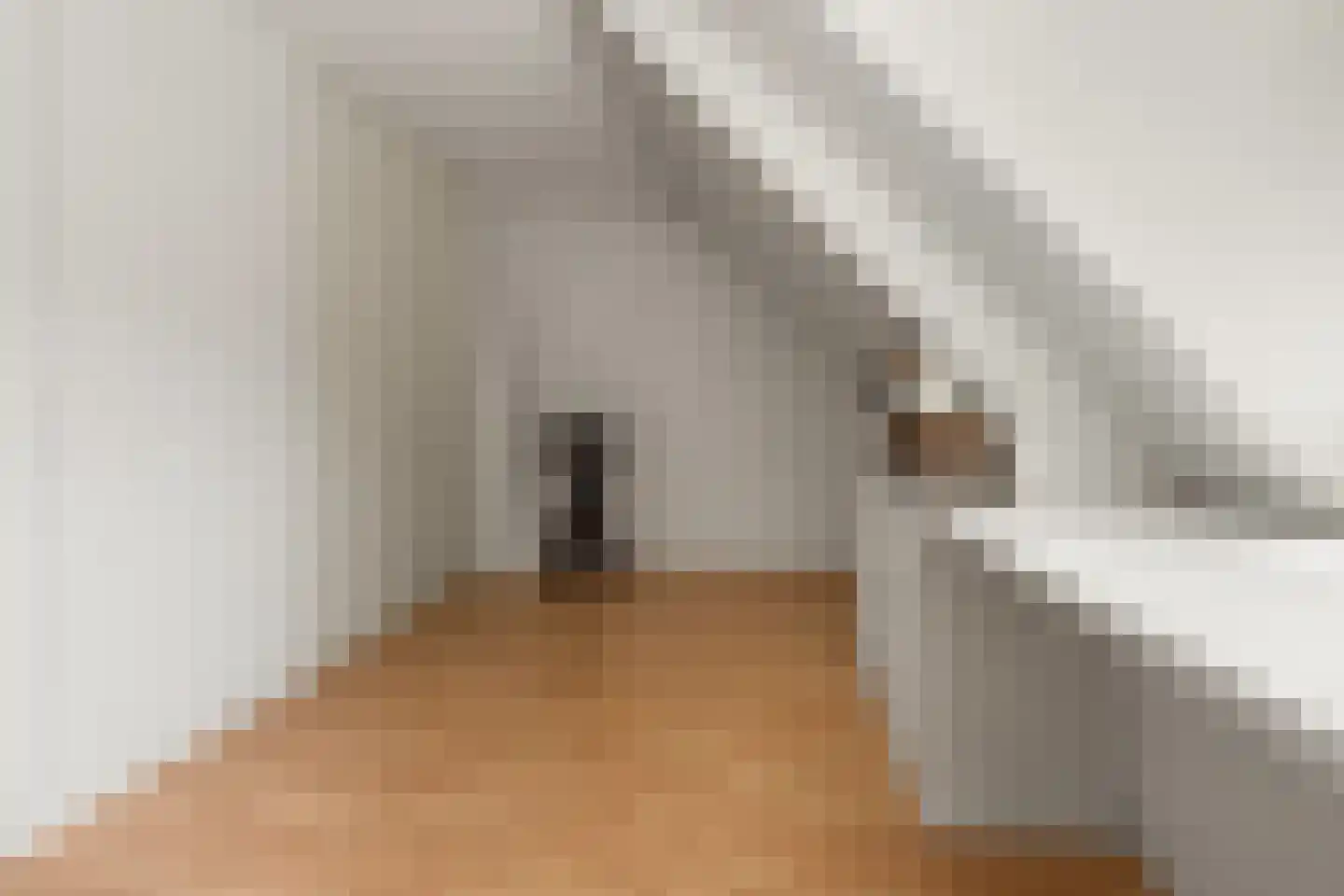 Laan van Bergen 44 Zeist thumbnail 36