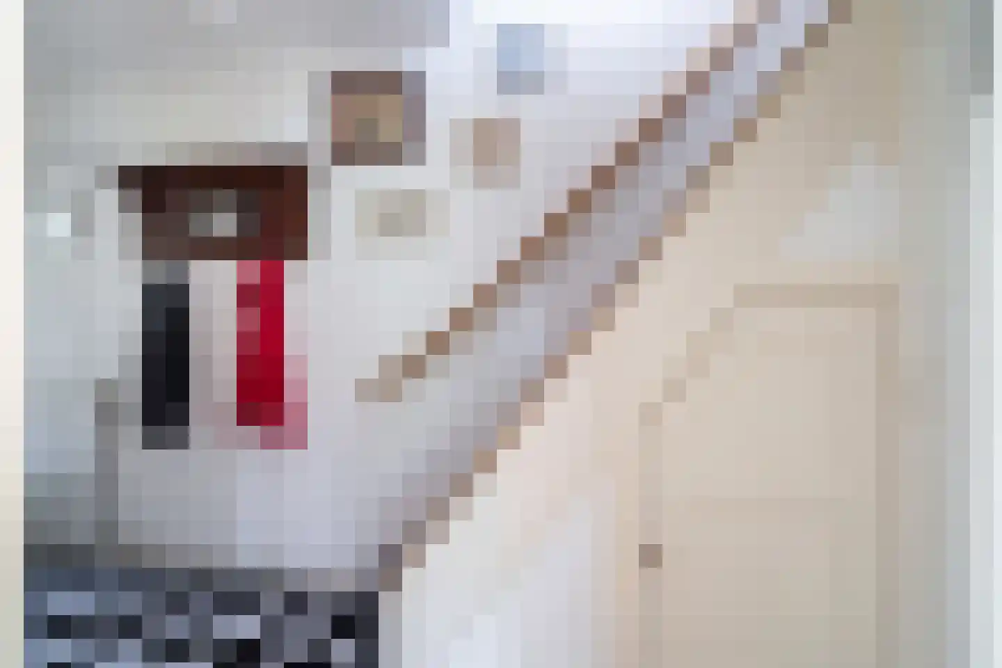 Laan van Bergen 55 Zeist thumbnail 13