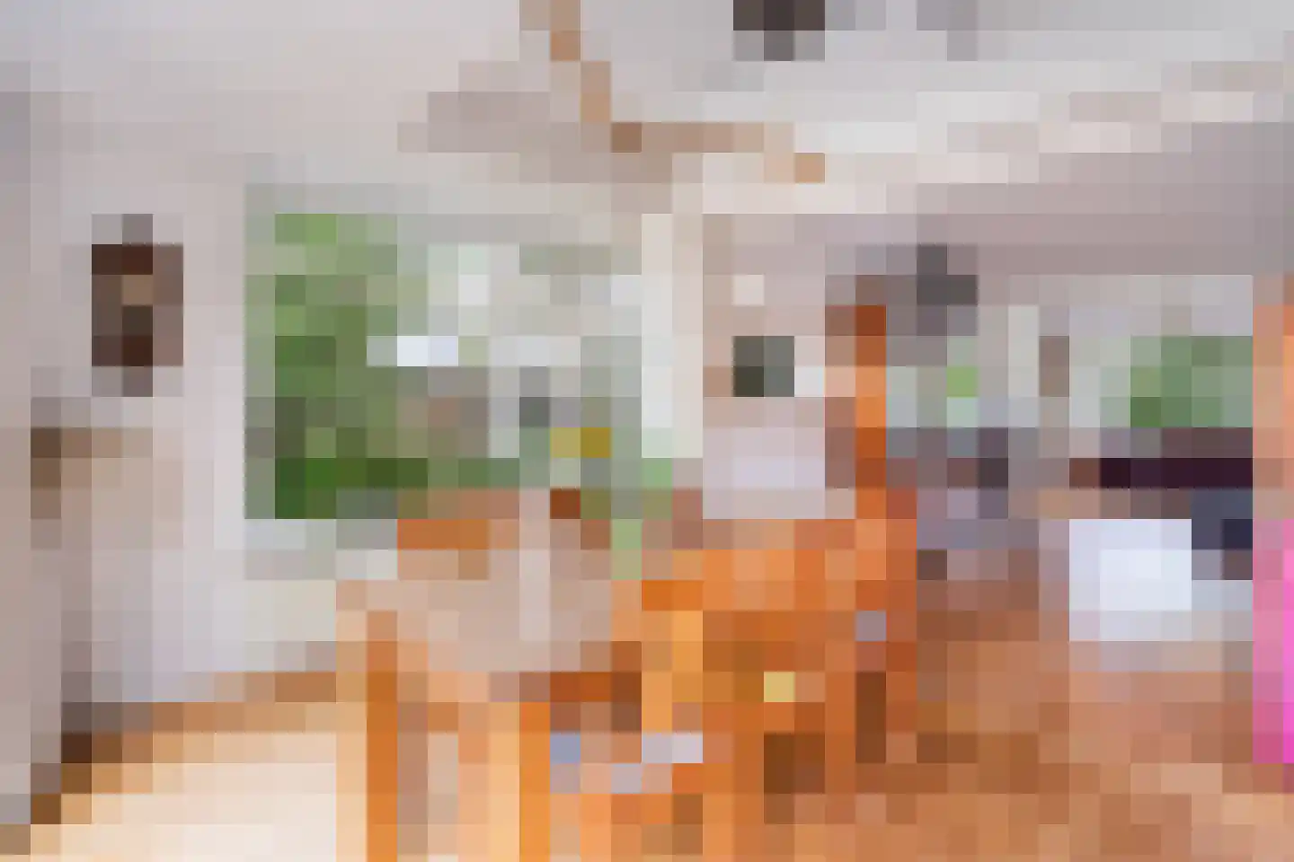 Laan van Bergen 55 Zeist thumbnail 21