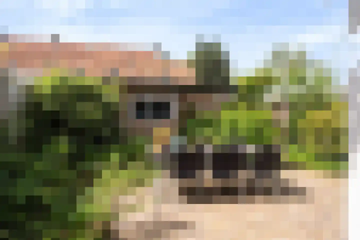 Laan van Bergen 55 Zeist thumbnail 29