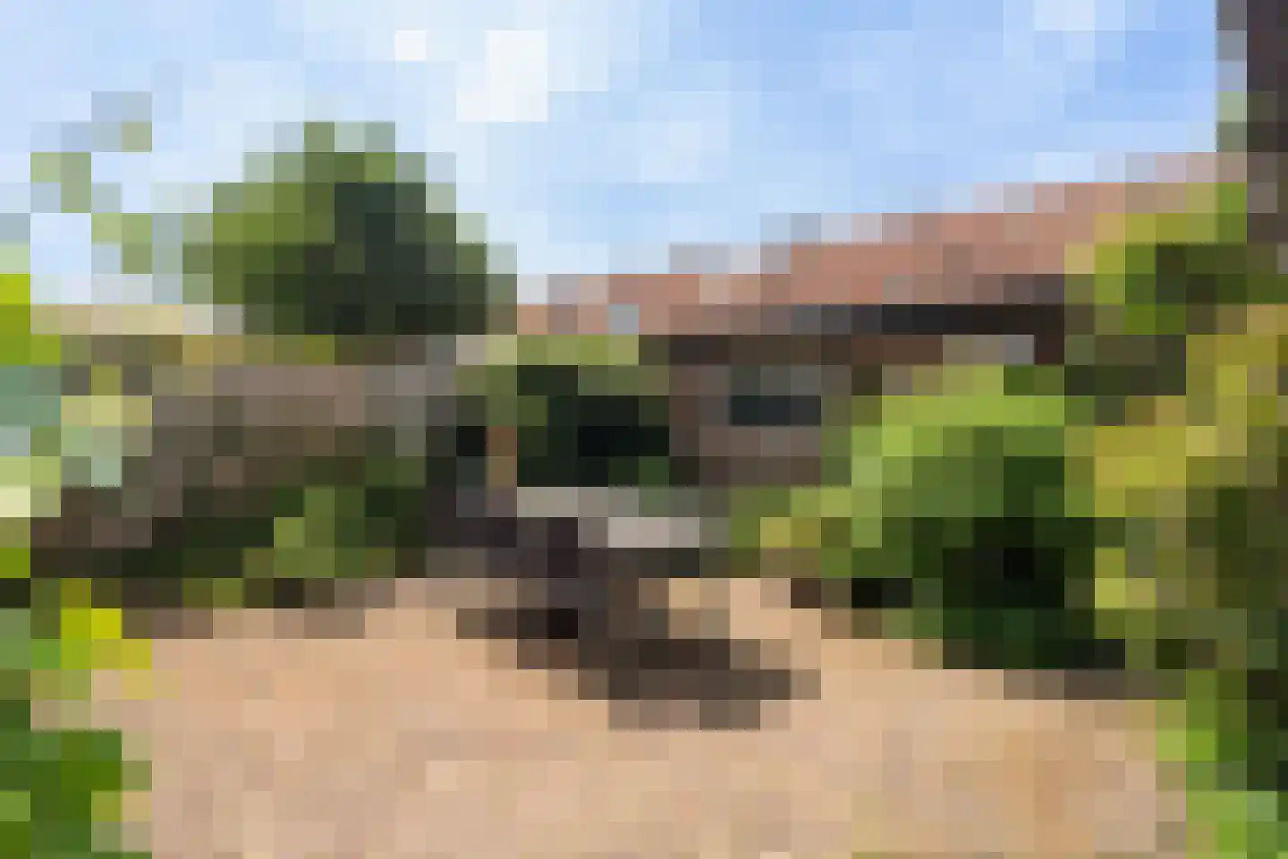Laan van Bergen 55 Zeist thumbnail 30