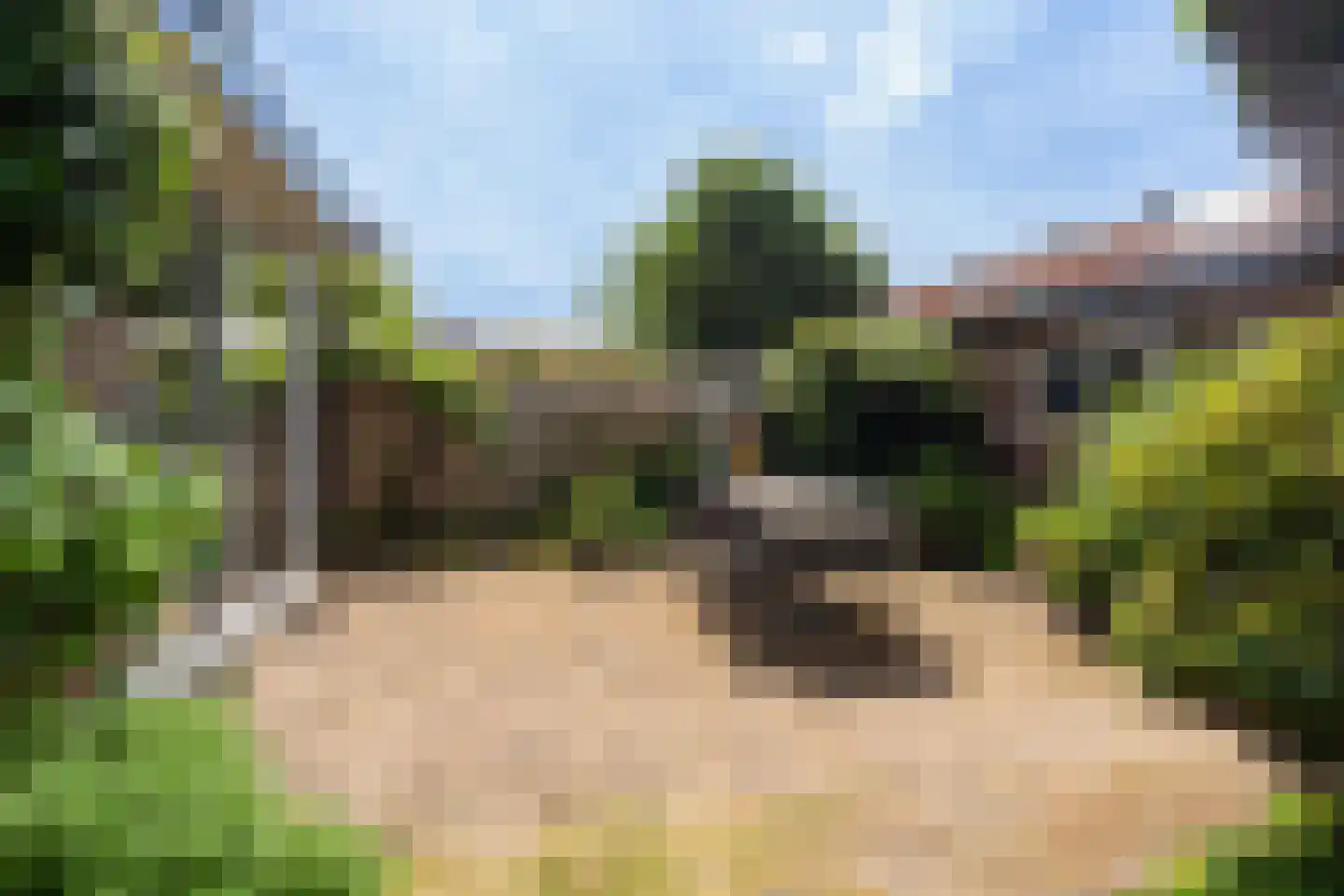 Laan van Bergen 55 Zeist thumbnail 31