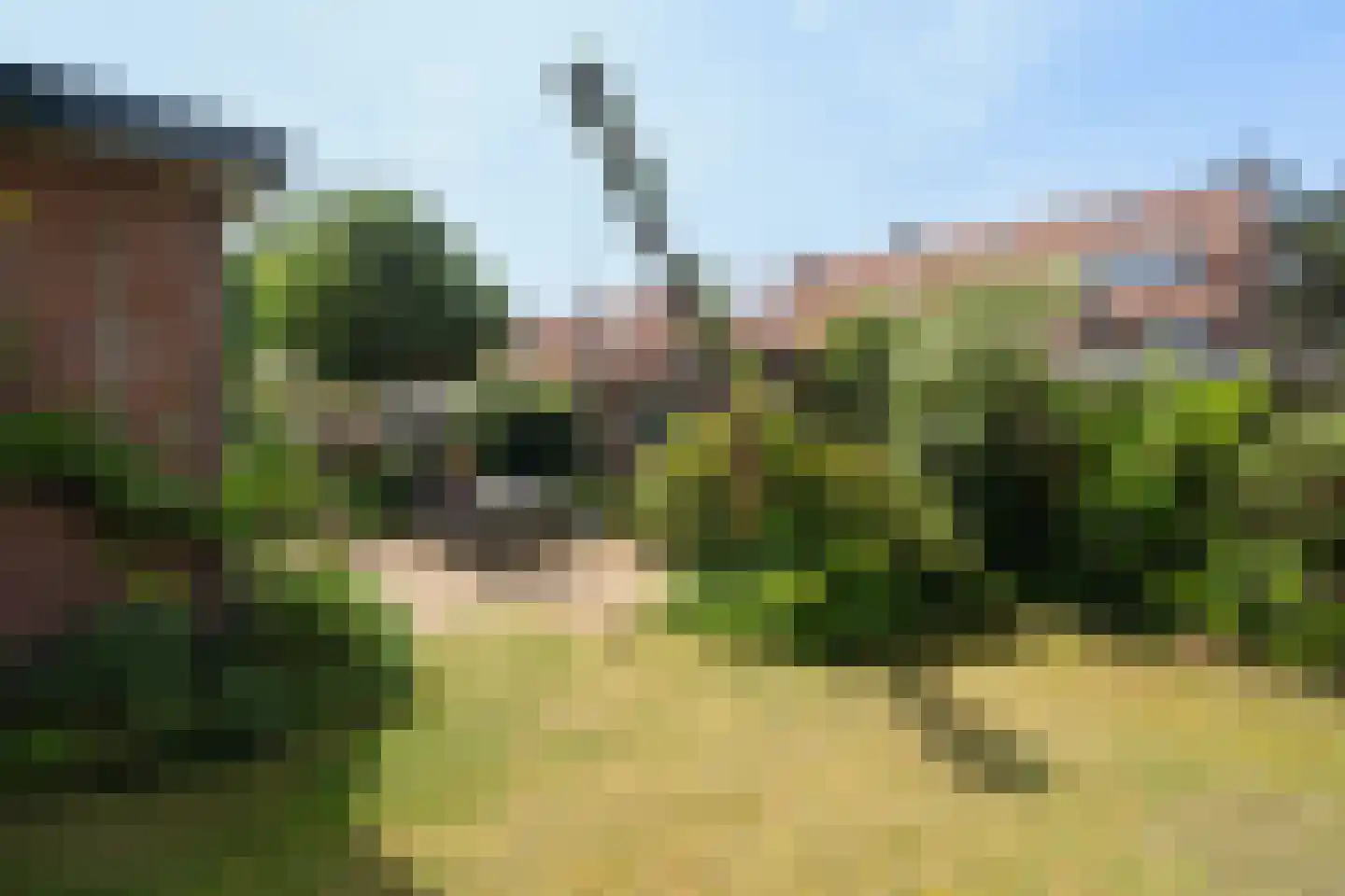 Laan van Bergen 55 Zeist thumbnail 32