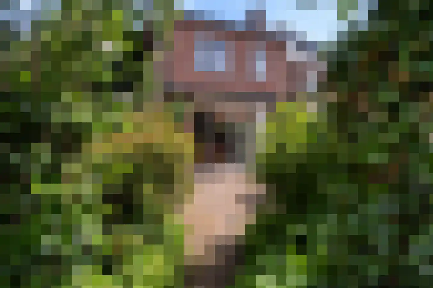 Laan van Bergen 55 Zeist thumbnail 34