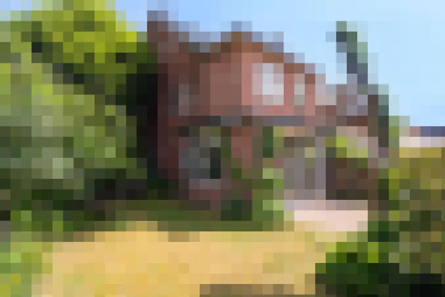 Laan van Bergen 55 Zeist thumbnail 35