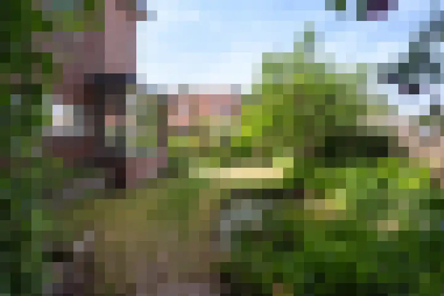Laan van Bergen 55 Zeist thumbnail 37