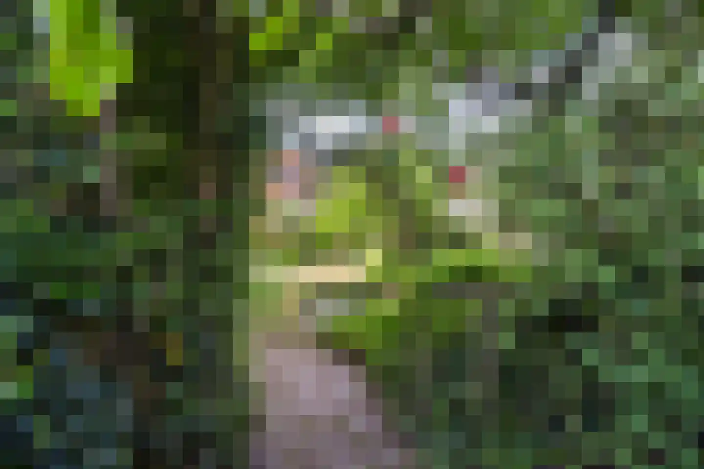 Laan van Bergen 55 Zeist thumbnail 40