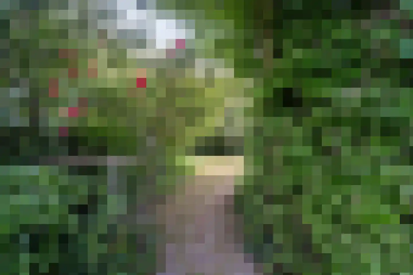 Laan van Bergen 55 Zeist thumbnail 41