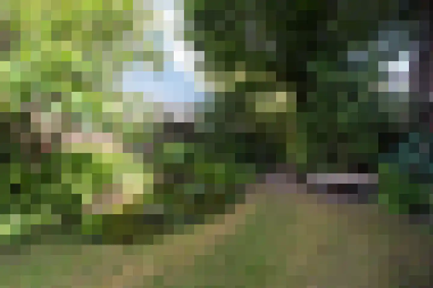 Laan van Bergen 55 Zeist thumbnail 42