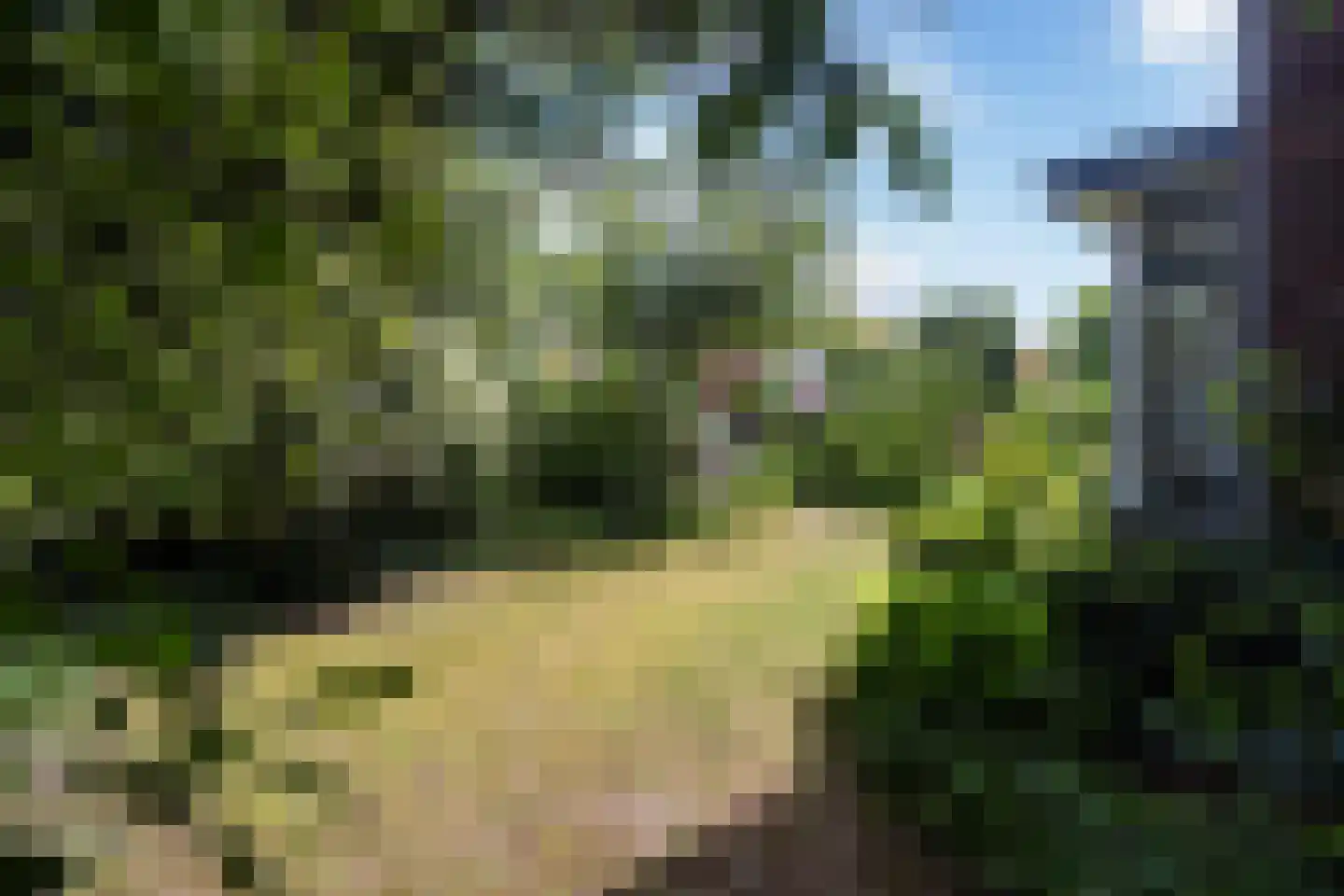 Laan van Bergen 55 Zeist thumbnail 44