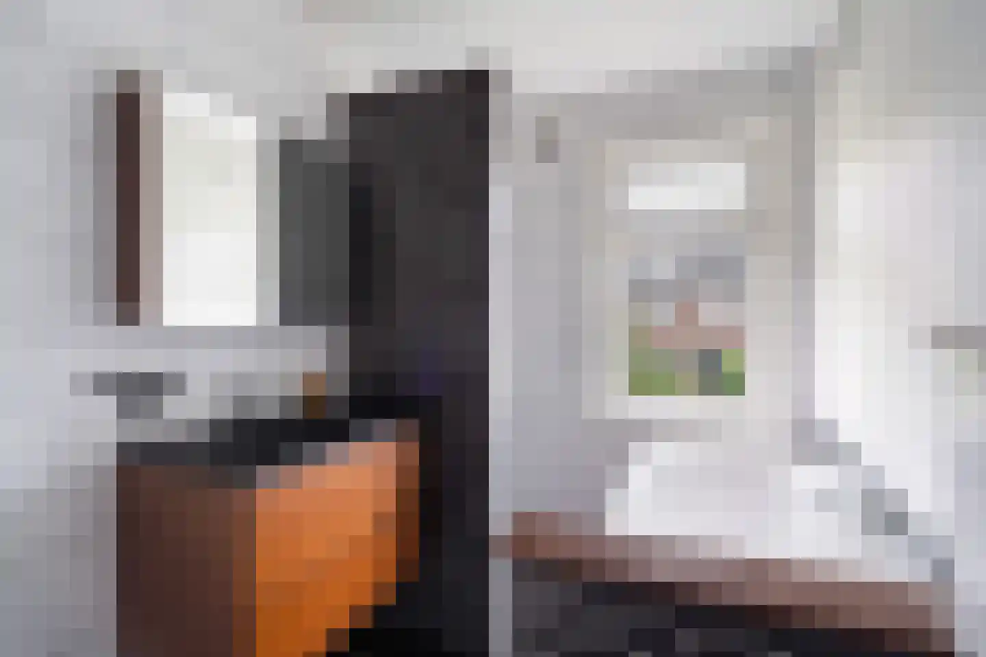 Laan van Bergen 55 Zeist thumbnail 58