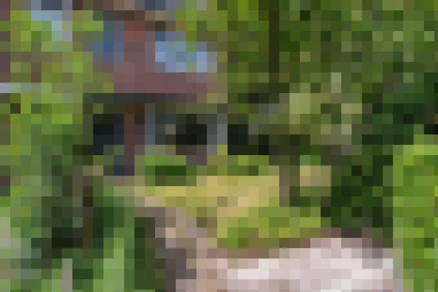 Laan van Bergen 55 Zeist thumbnail 8