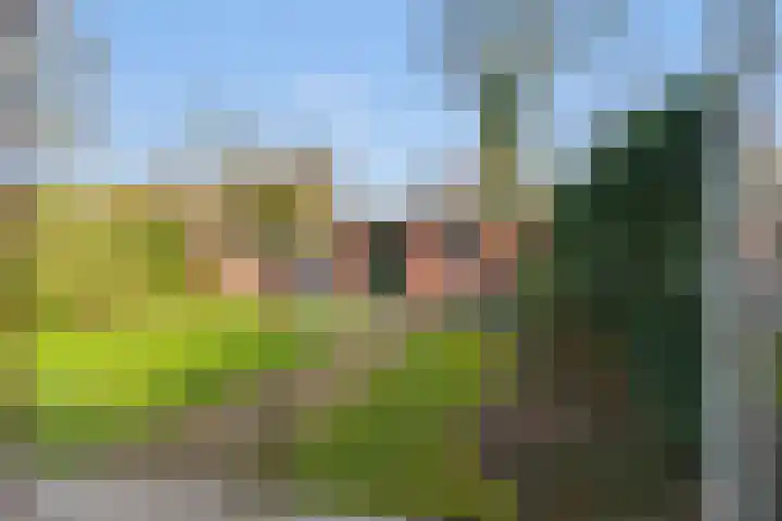 Laan van Bergen 56 Zeist thumbnail 13