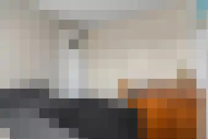 Laan van Bergen 56 Zeist thumbnail 24