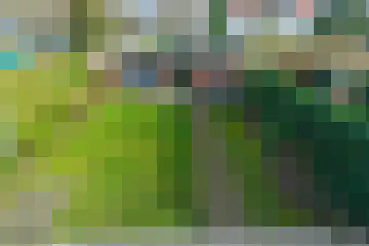 Laan van Bergen 56 Zeist thumbnail 30